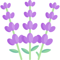 Σφουγγάρι Αφρού Για Λουλούδια- Ορθογώνιο